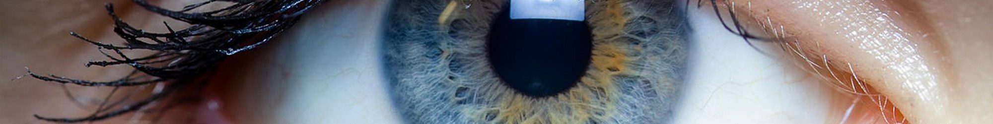 Oeil femme en gros plan